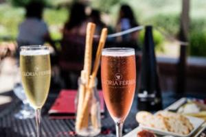 沁县篮球联赛报名表格下载指南沁县篮球联赛报名表格下载