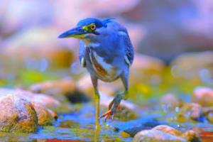 法甲联赛赞助商丛c77典tv，品牌价值与市场影响力法甲联赛赞助商丛c77典tv